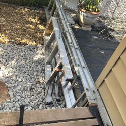 Ladders 16in 