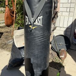 Punching Bag