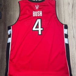 CHRIS BOSH RAPTORS JERSEY 