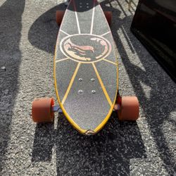 Skate Board