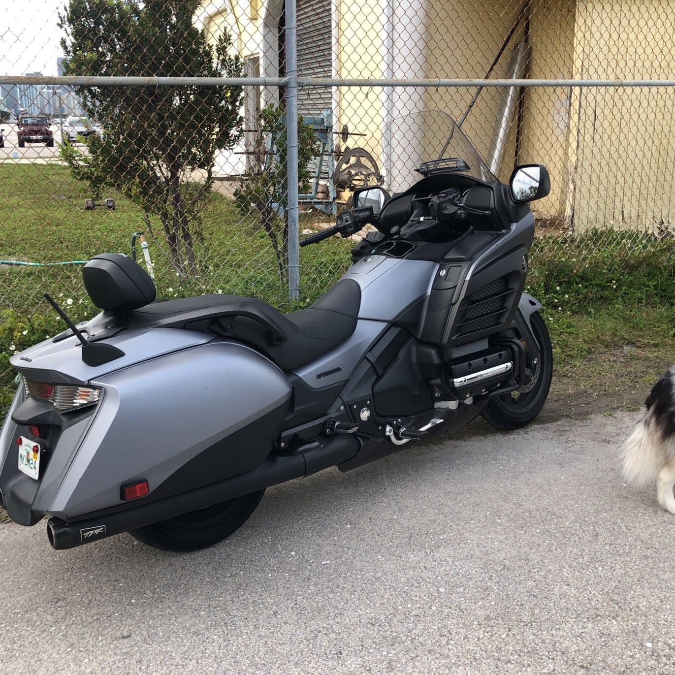 Honda goldwing sale f6b for sale