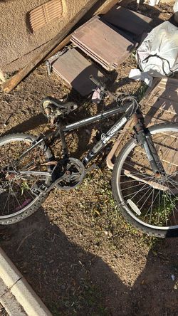 Rusty bike