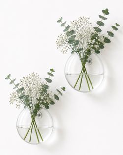 Set of 2 Round Wall Hanging Glass Propagation Vases