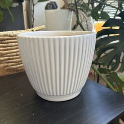 White Ceramic pot for plants