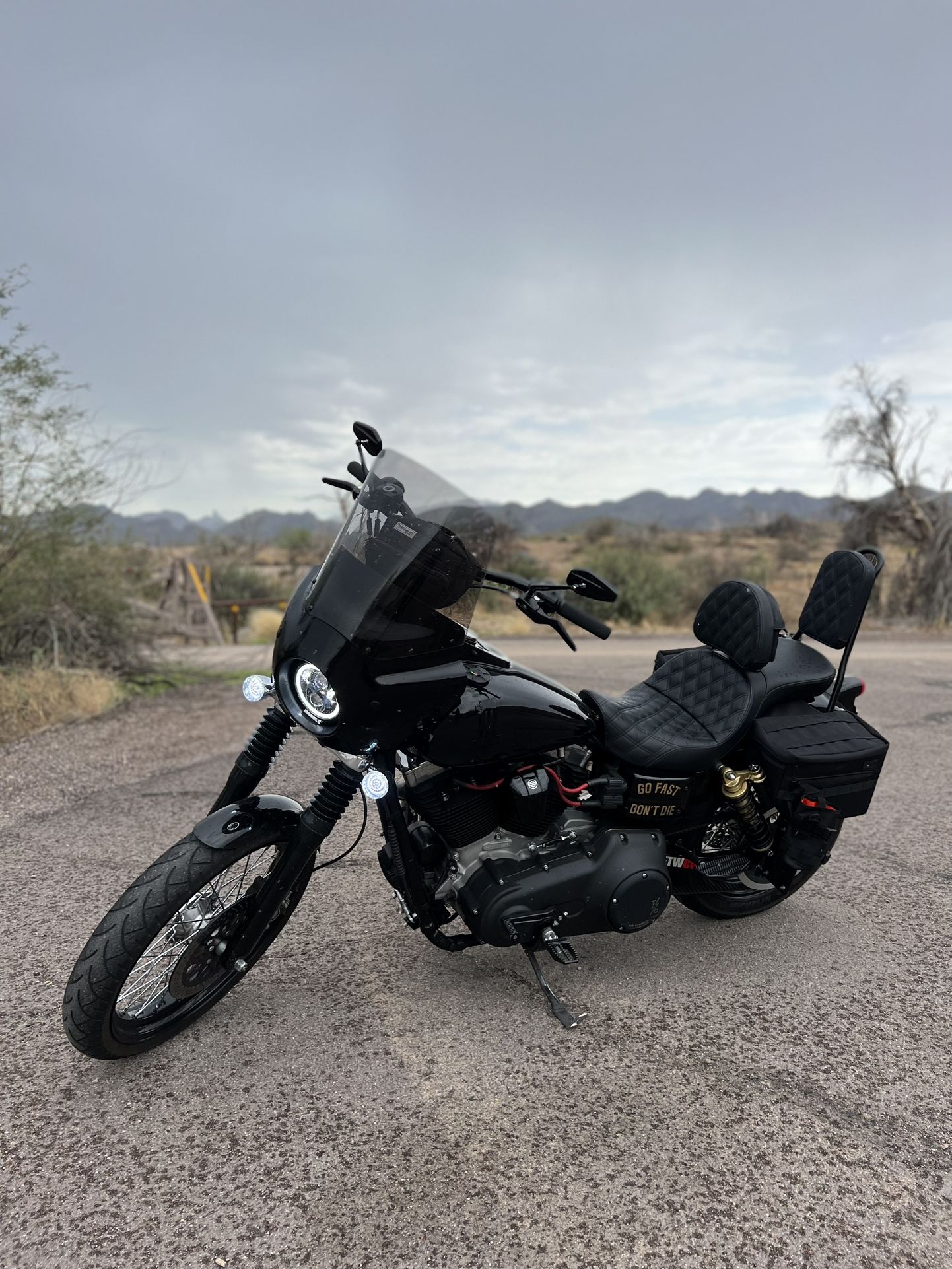 2009 Harley Davidson Street Bob Dyna