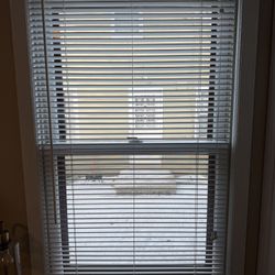 Window Blinds, White 