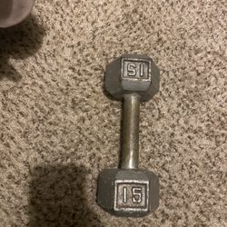 15 Pound Dumbbell