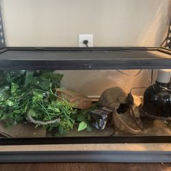 Reptile Tank