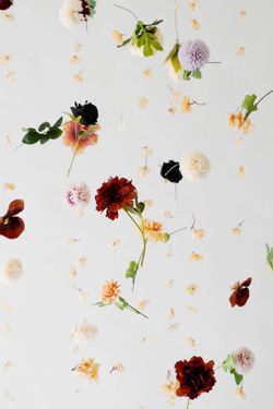 Instagram Background Bloom Hanging Flower Garland on a String