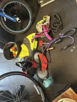 Dog Supplies