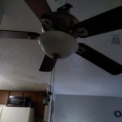 Ceiling Fans $30 Each