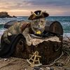 Rudy’s Treasures