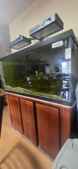 Full reef aquarium