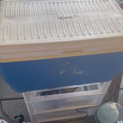 Igloo ice chest