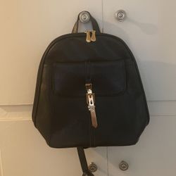 New  Backpack/Purse