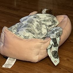 Device To Help Write With Mobility Issues