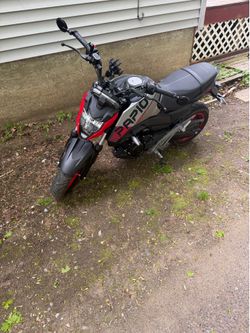 2023 cfmoto papio