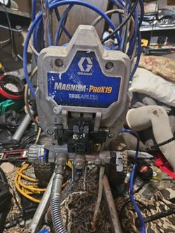Magnum prox19