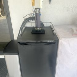 Dual Tap Kegerator 