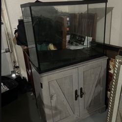 35 Gallon Fish Tank 