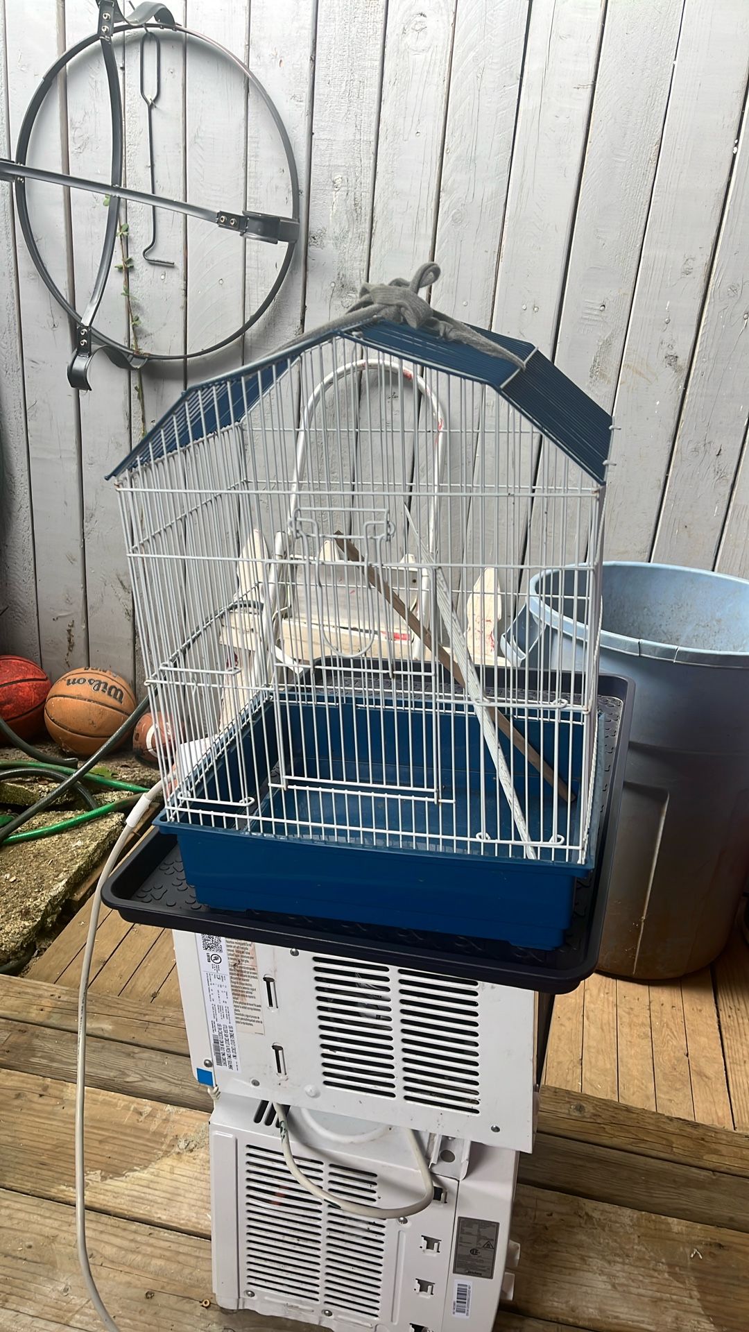 Small Bird Cage