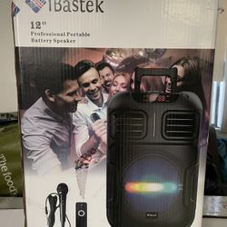 Bluetooth Speaker Size 12” 