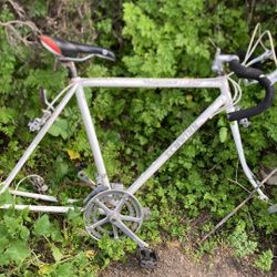 Vintage Shwinn World Tour 