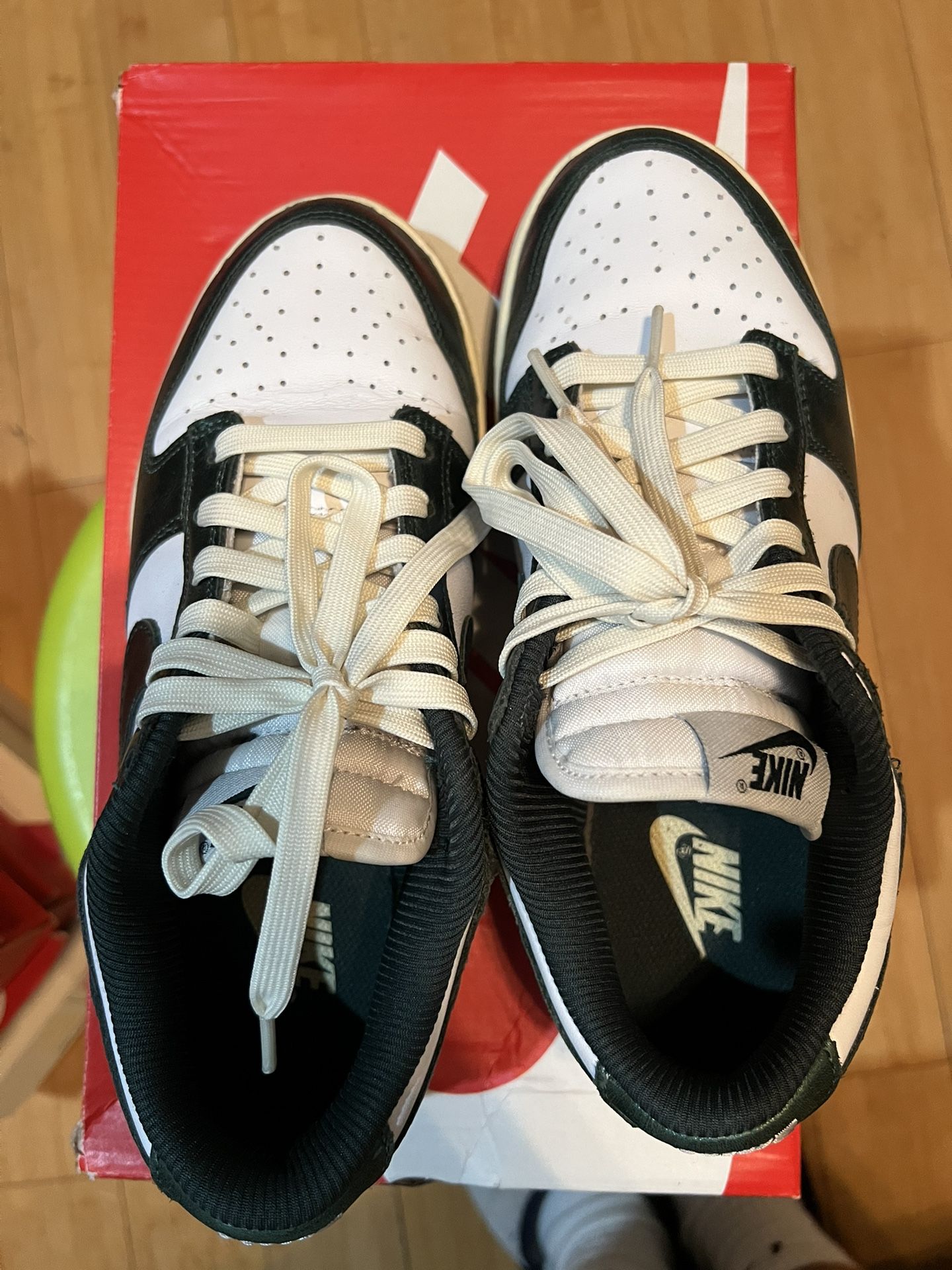 Nike Air Dunks