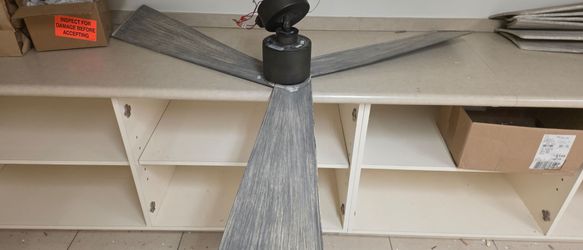 MONTE CARLO CEILING FAN ONLY $100