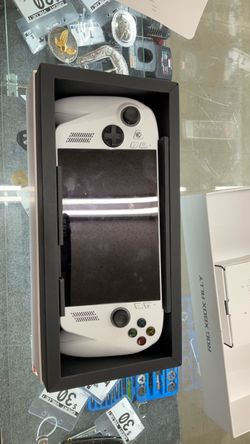 ROG Portable Video Game