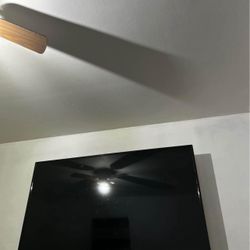 70 in Roku Tv 