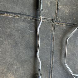Olympic Curl Bar