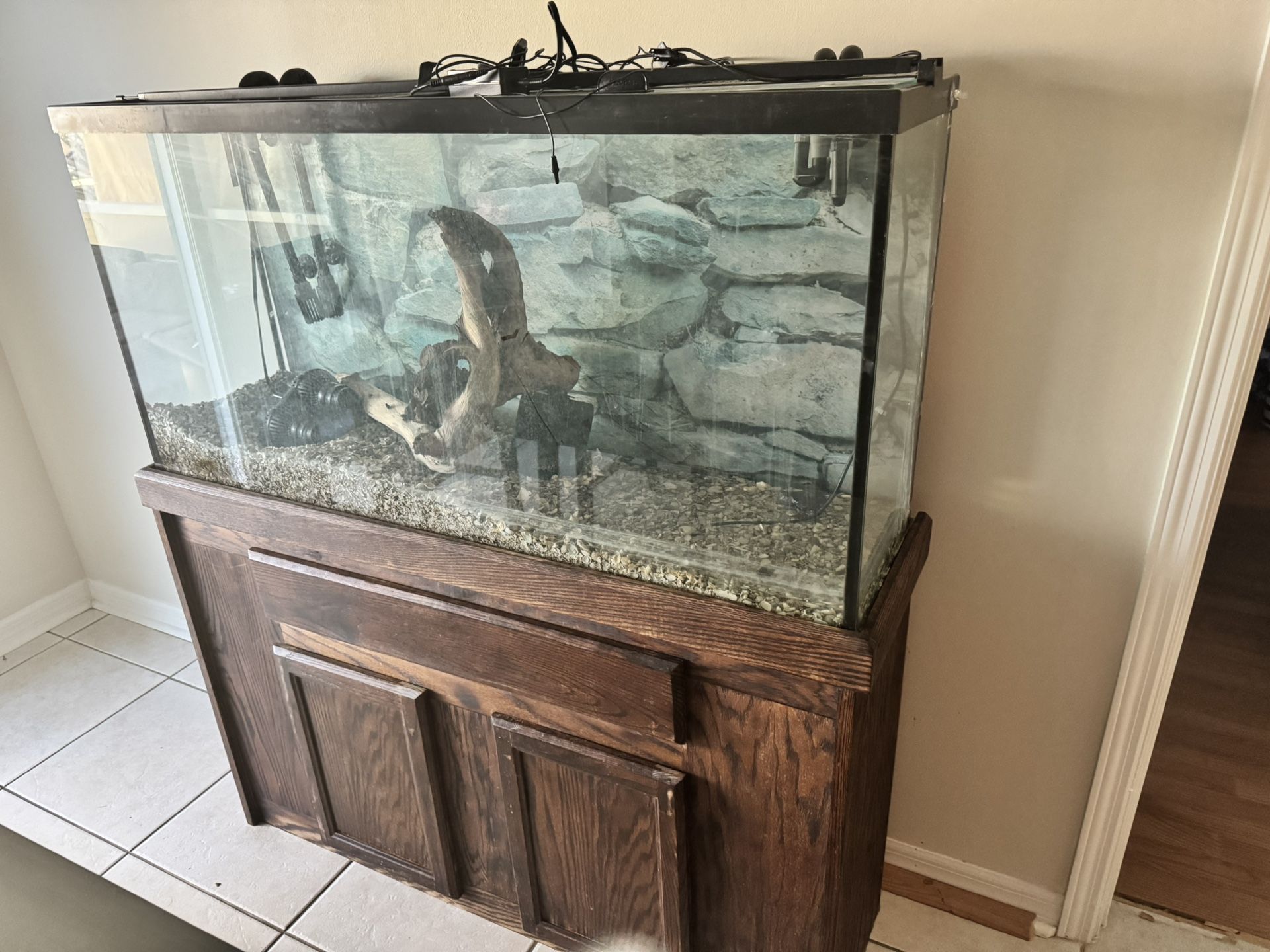 50 Gallon Long fish Tank With Brand New Light, 2 Canister Filters And Much More 