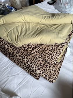 Tiger blanket