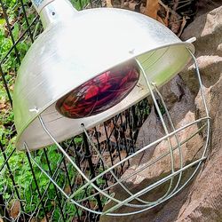 Large heat lamp