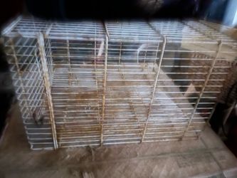 Bird cage