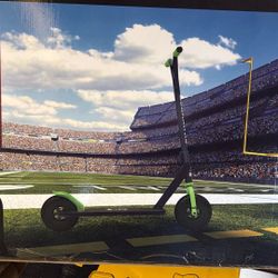 Seahawks Off-Road Kick Scooter