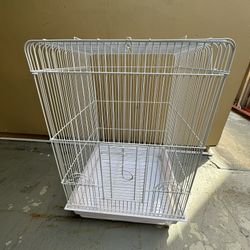 Bird cage 