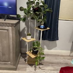 Indoor Plant Stand