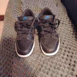 Youth Size 7 Nike Low Dunks