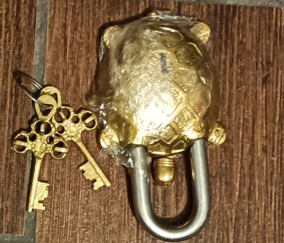 Vintage Brass Turtle Lock