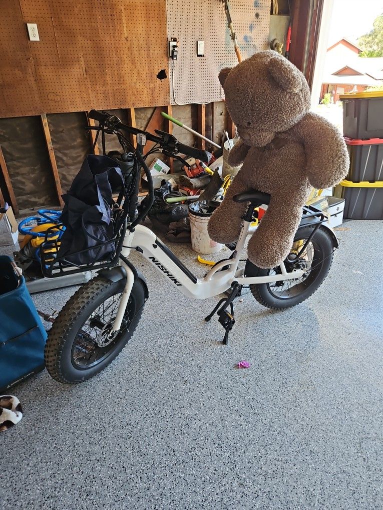 Electric Bike