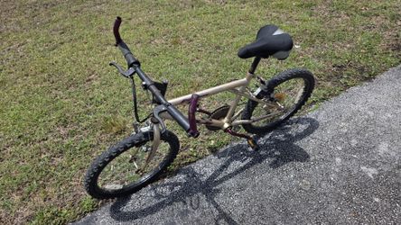 Shimano Equinox Mountain Bike, 20" in Tires