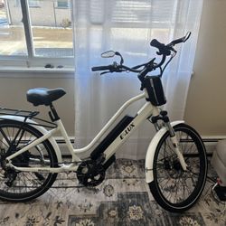 E-lux Electric E-Bike Malibu GT 