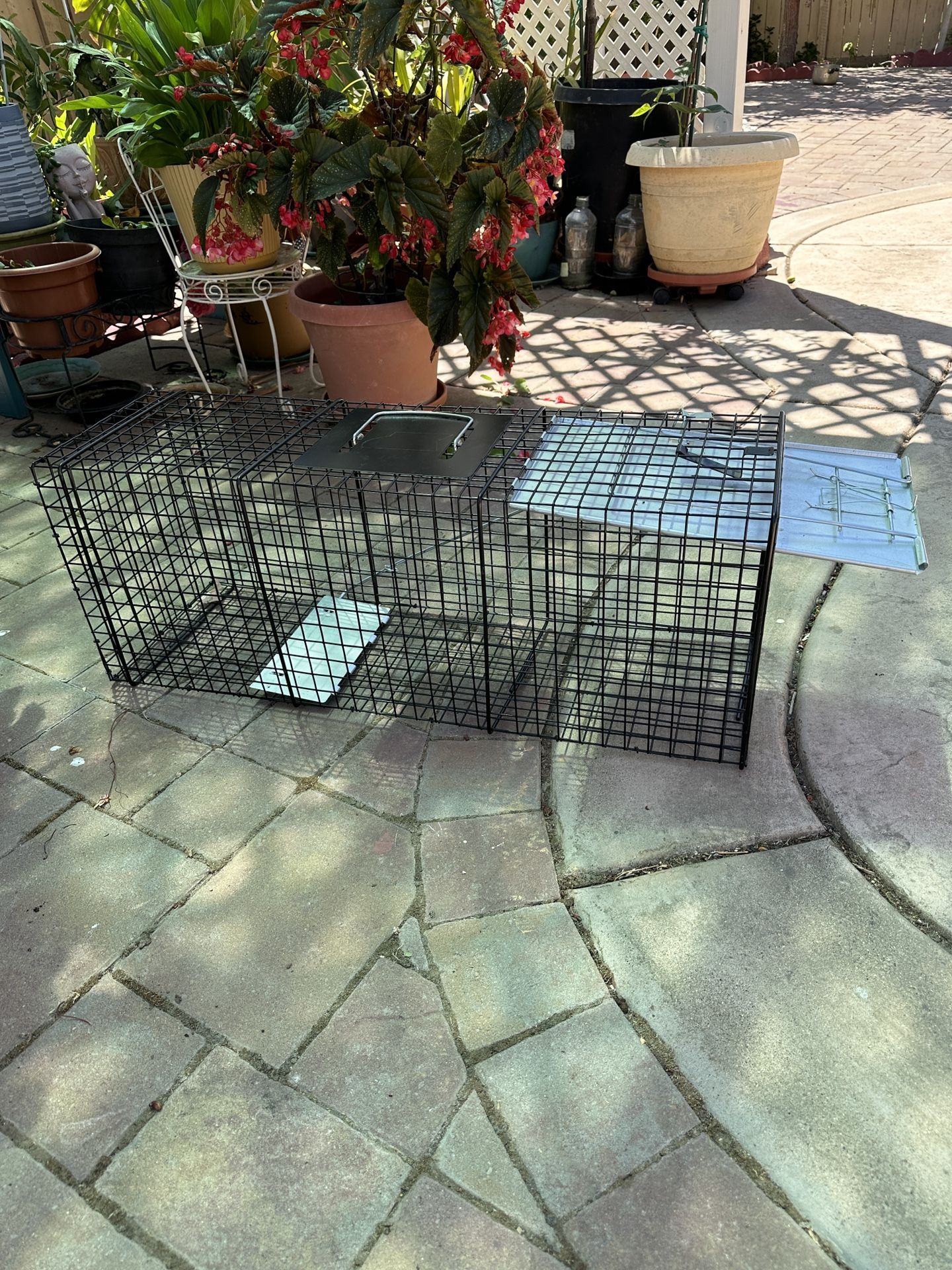 32  inch Live Animal Cage Trap. Heavy Duty 