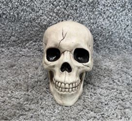 Decorative Halloween Skull Plastic Resin 5 Inch Realistic Seasonal Home Decor