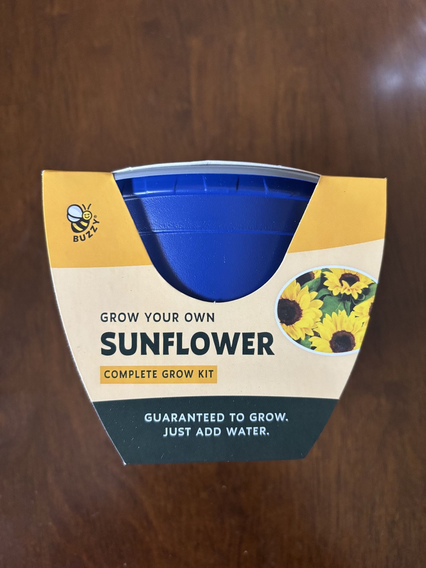 Sunflower grow kit 4” pot
