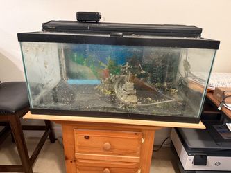 Glass Aquarium Tank with 50 gallons