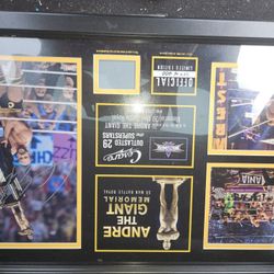 Wrestling Framed Posters And Plaques