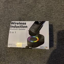 Wireless Induction / Bluetooth Speaker